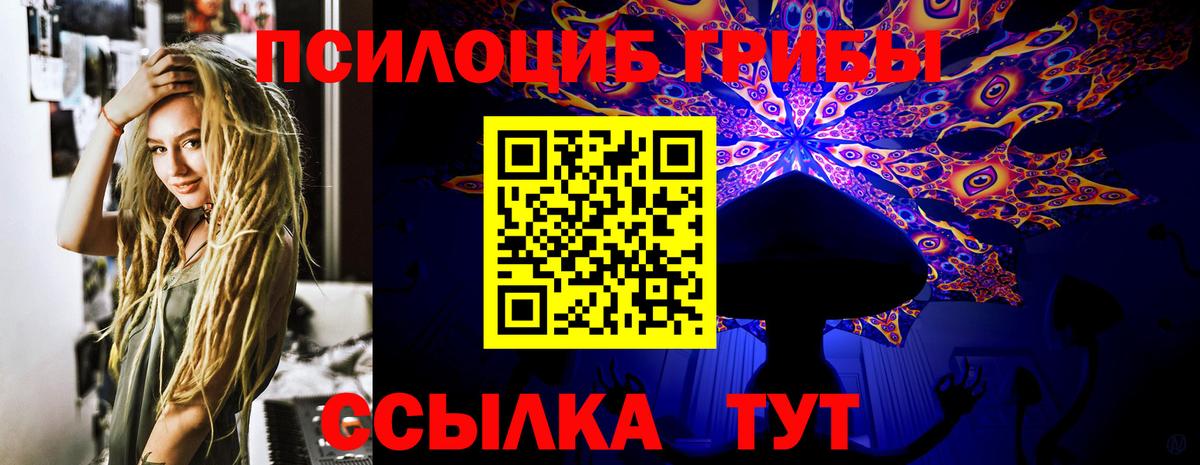 Щёлково  Галлюциногенные грибы GOLDEN TEACHER  где купить   Вход с VPN 